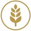 Gluten Gluten